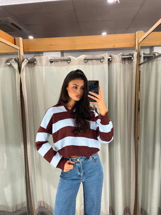 Chocolate and Sky Stripe Knit